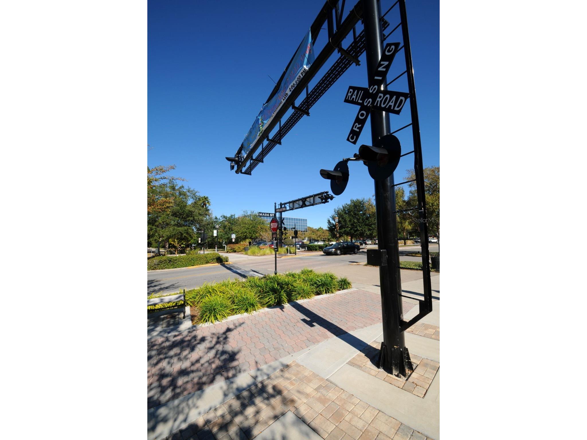 1529 Paloma Lane Dunedin FL 34698 TB8460243 image41