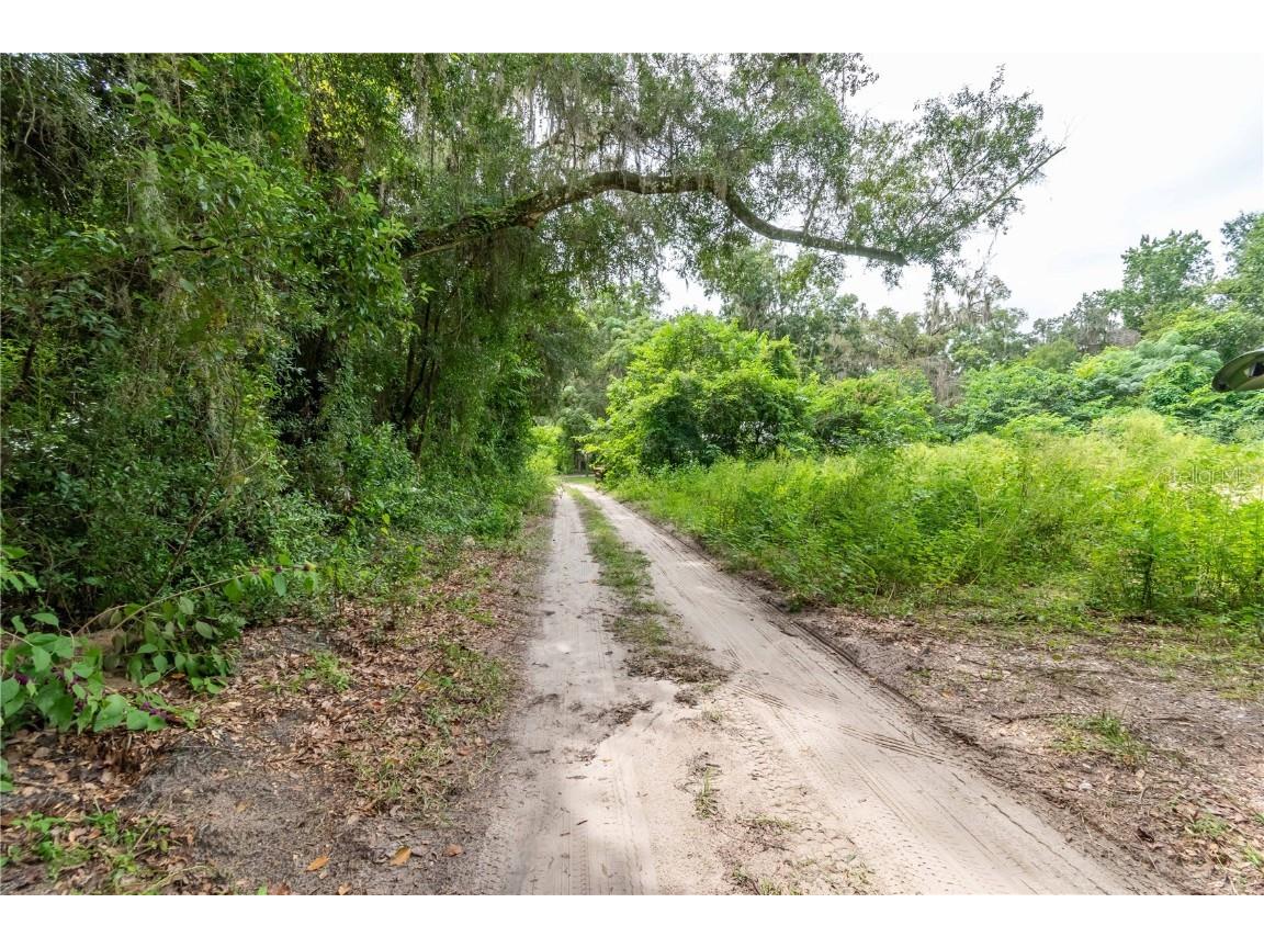 15290 NW 46th Avenue Reddick FL 32686 W7878892 image2