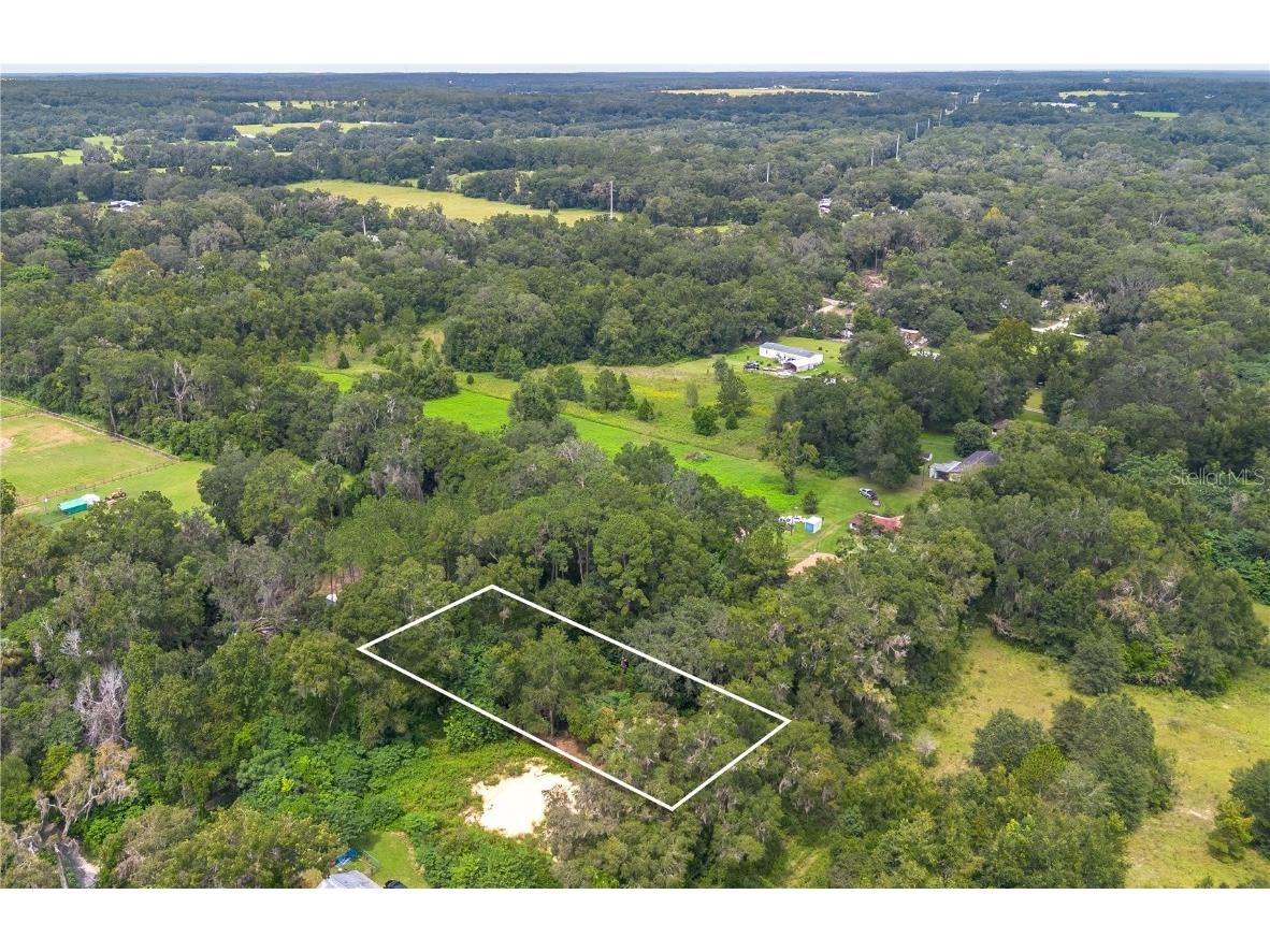 15290 NW 46th Avenue Reddick FL 32686 W7878892 image3