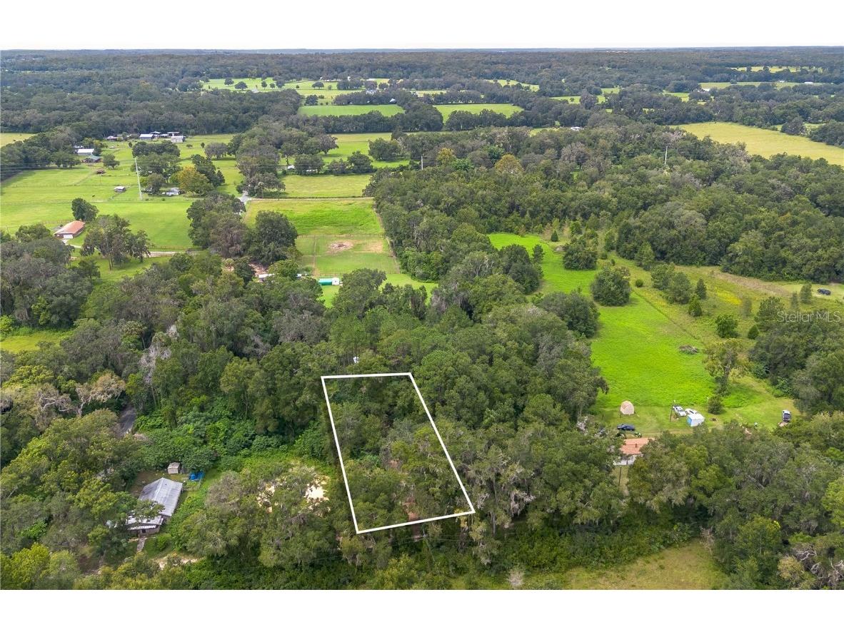 15290 NW 46th Avenue Reddick FL 32686 W7878892 image4