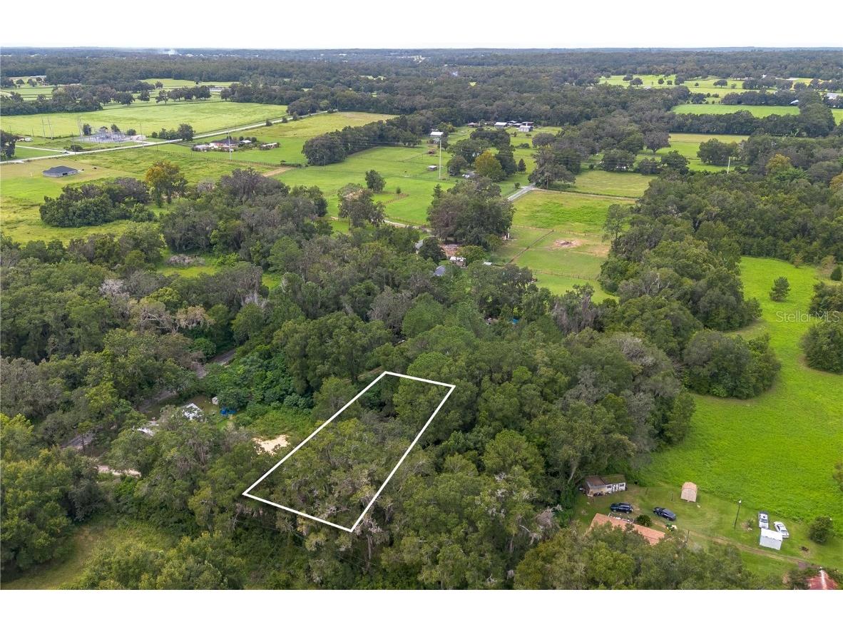 15290 NW 46th Avenue Reddick FL 32686 W7878892 image5