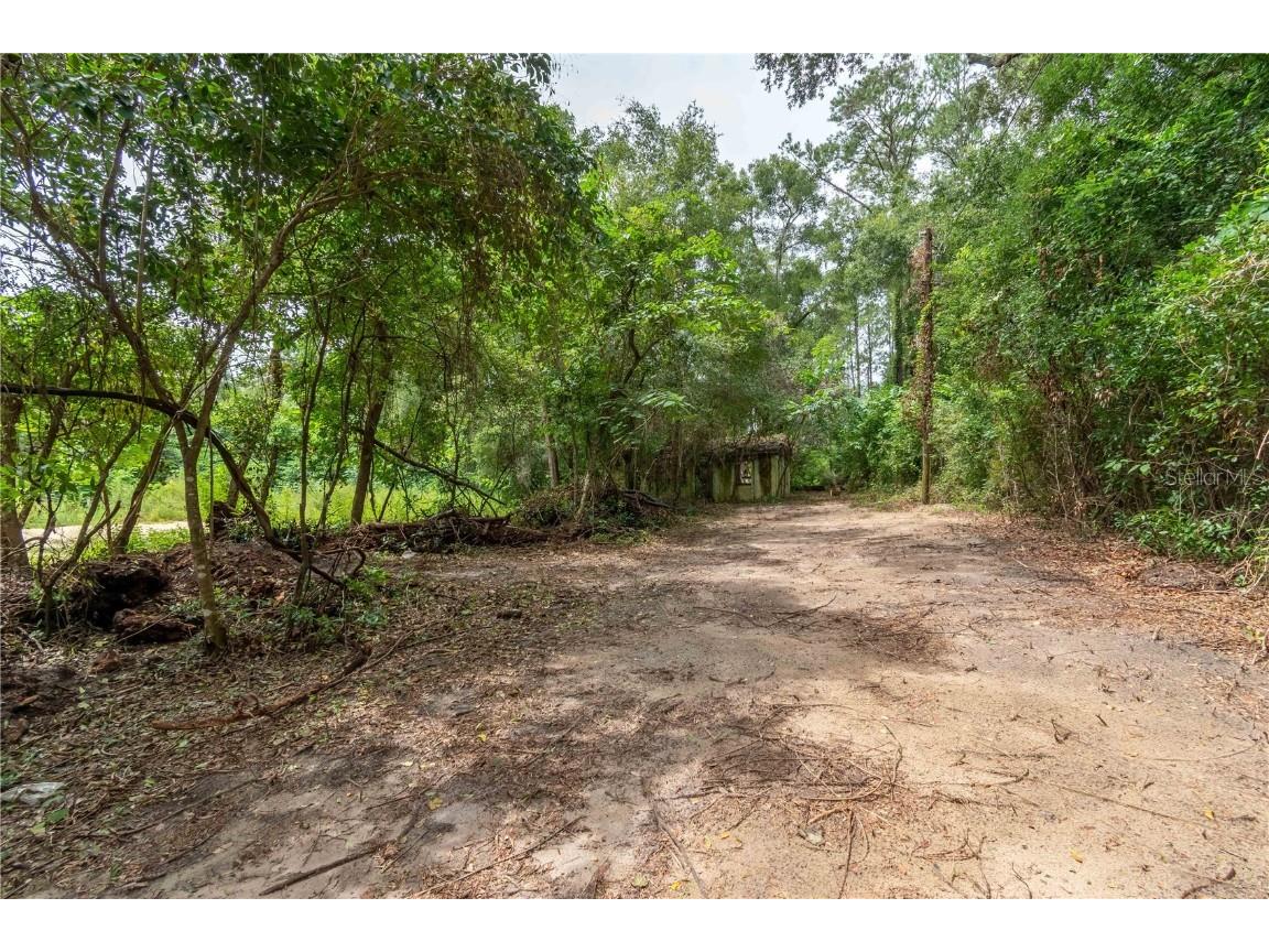 15290 NW 46th Avenue Reddick FL 32686 W7878892 image7