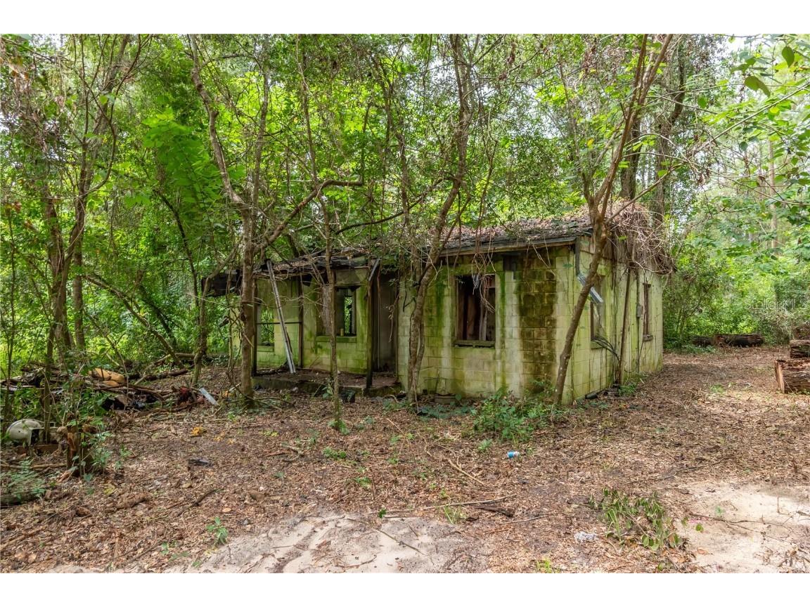 15290 NW 46th Avenue Reddick FL 32686 W7878892 image8