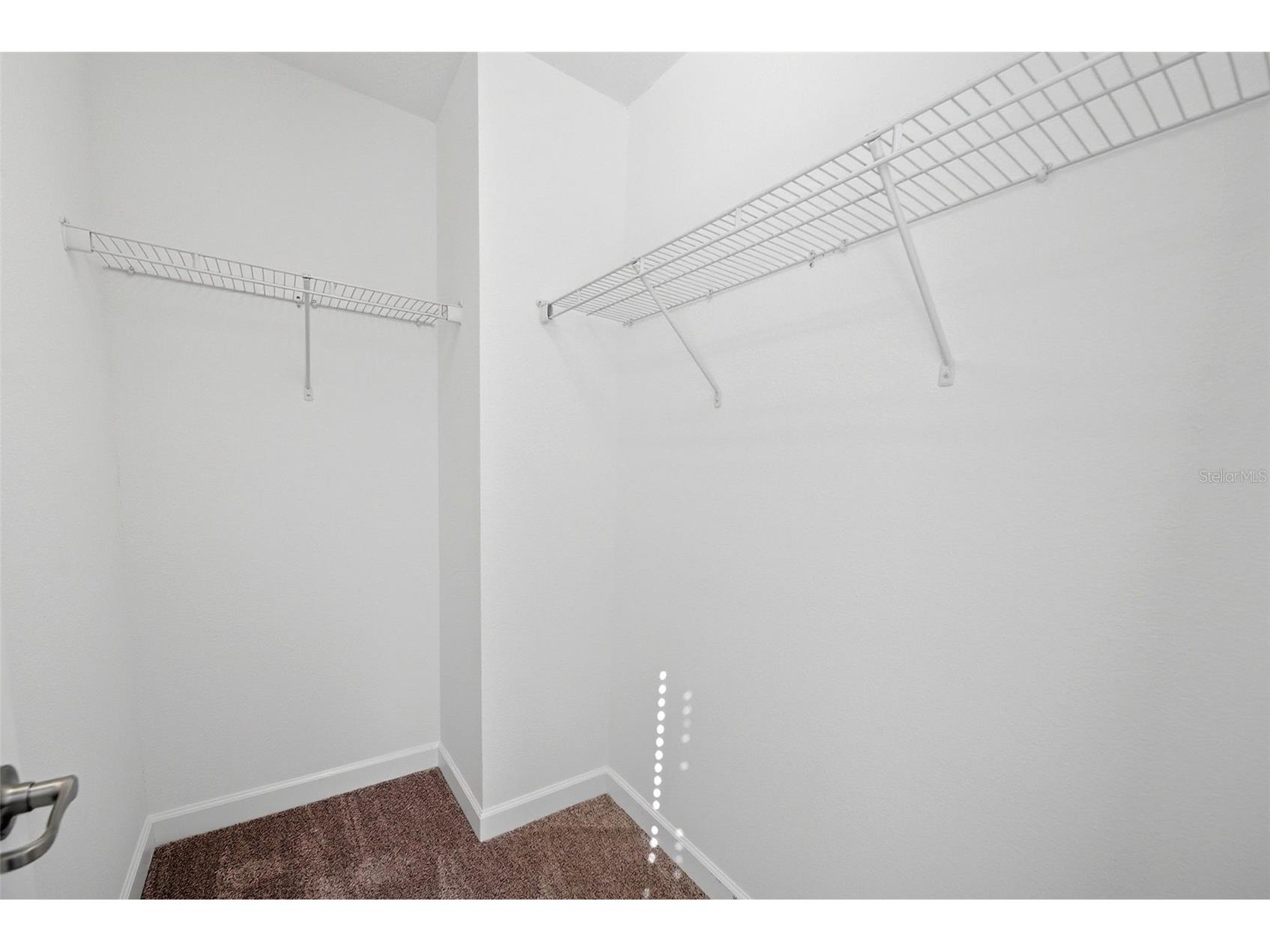 15293 Night Heron Drive Winter Garden FL 34787 O6350632 image48