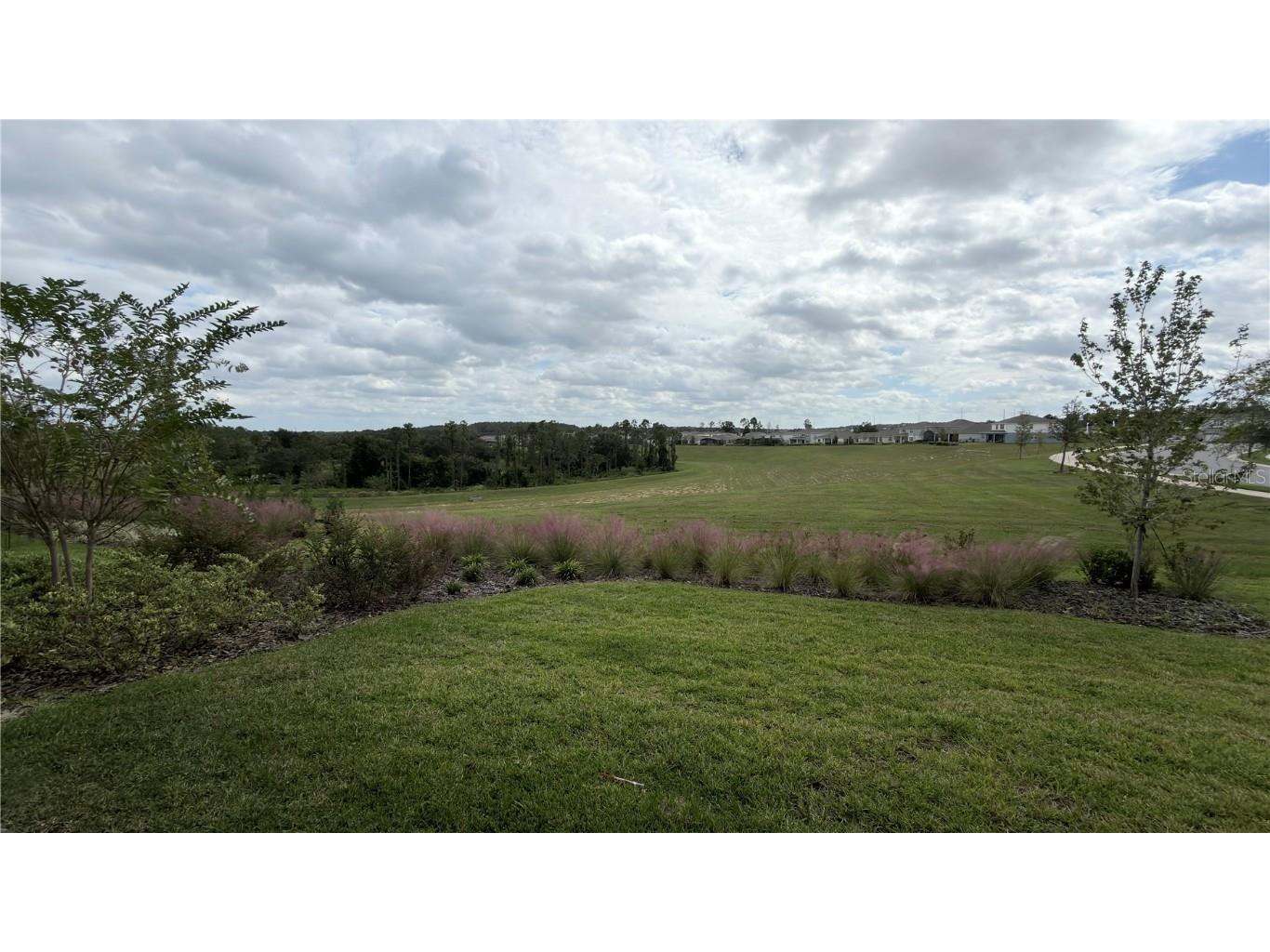 15295 Rising View Drive Montverde FL 34756 O6355572 image45