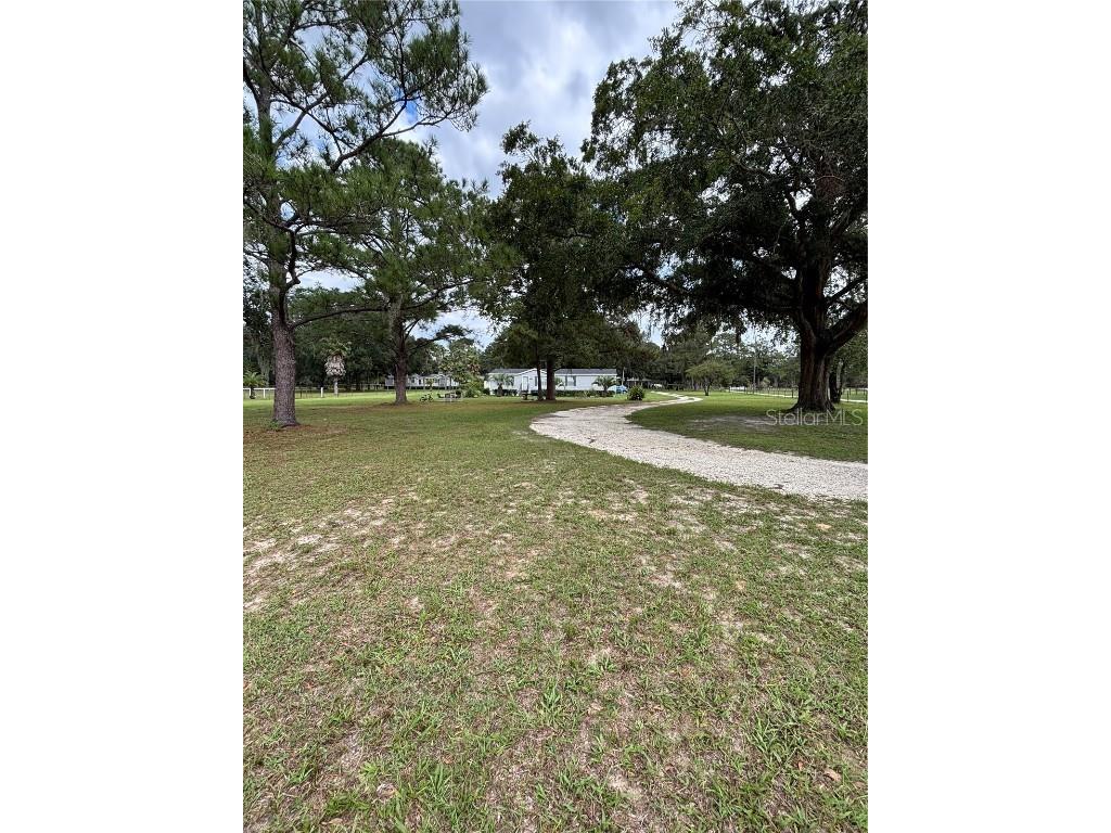 15299 N Us Hwy 441 Reddick FL 32686 G5102874 image2