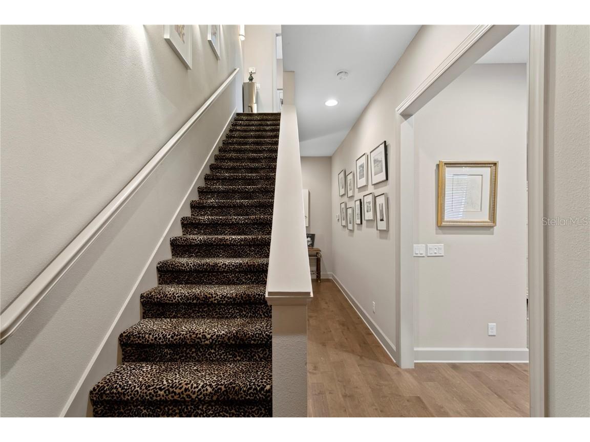 153 5th Avenue NE Saint Petersburg FL 33701 TB8442119 image26