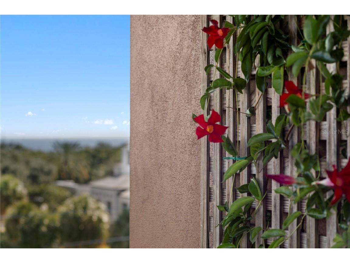 153 5th Avenue NE Saint Petersburg FL 33701 TB8442119 image52