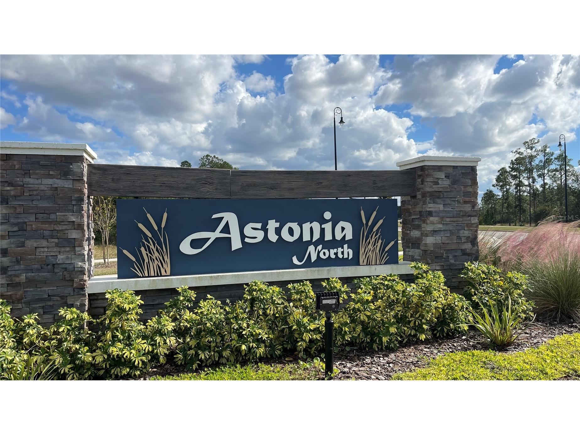 153 Adventure Avenue Davenport FL 33837 S5147623 image15