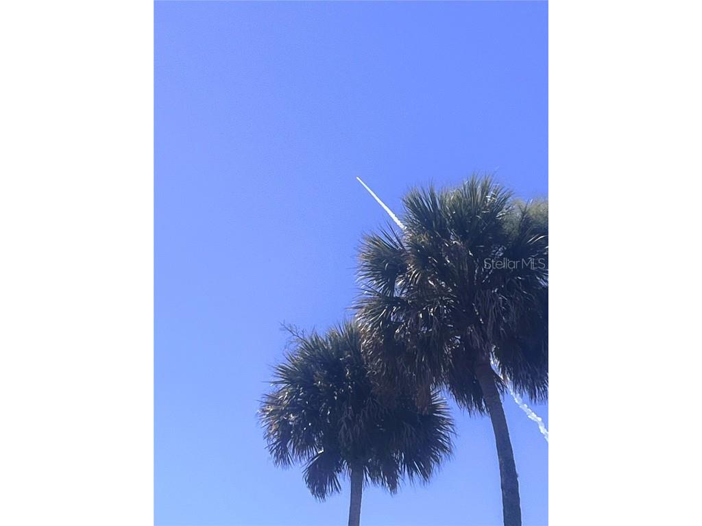 153 Apache Court Oak Hill FL 32759 - INDIAN RIVER NS1086694 image41