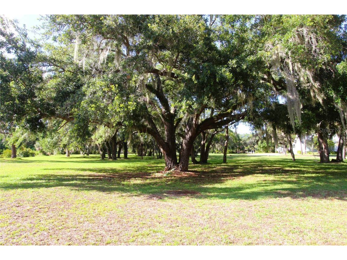 153 Apache Court Oak Hill FL 32759 - INDIAN RIVER NS1086694 image42