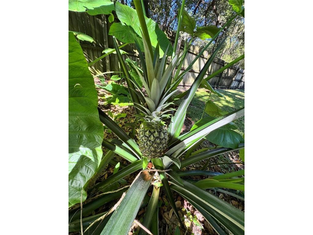 153 Duncan Trail Longwood FL 32779 O6361312 image22