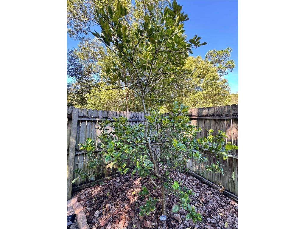 153 Duncan Trail Longwood FL 32779 O6361312 image23