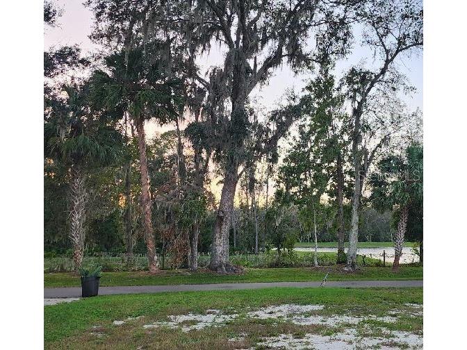 153 Fern Drive Debary FL 32713 O6254192 image2