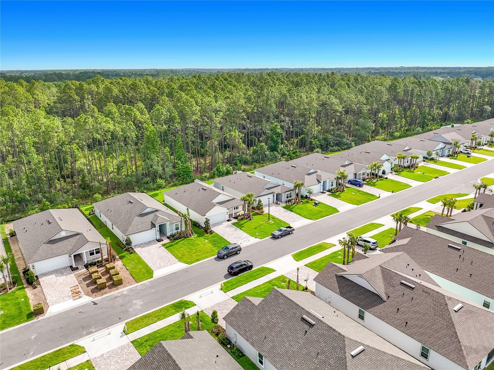 153 Greenwood Drive Palm Coast FL 32137 FC318962 image39