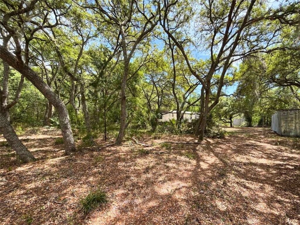 153 Landvale Street Georgetown FL 32139 V4929570 image1