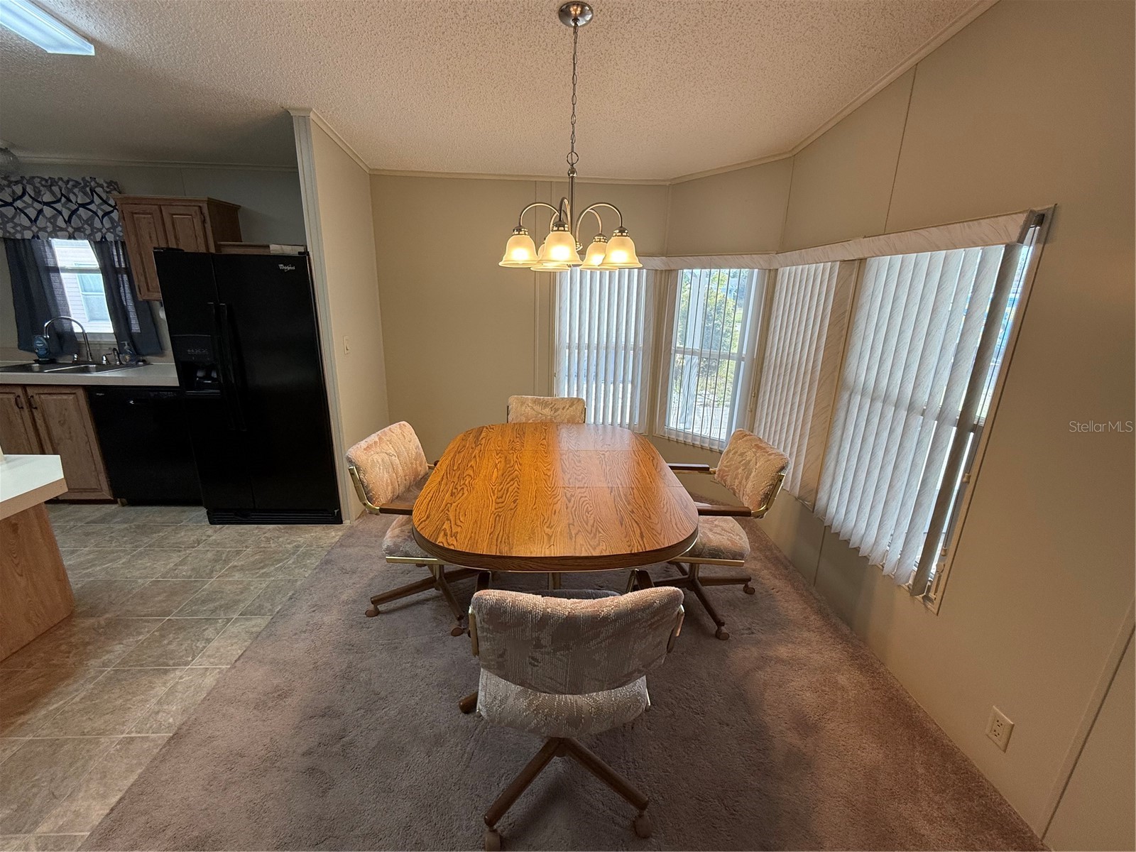 153 Nesbitt Park Avenue Davenport FL 33897 S5141605 image5