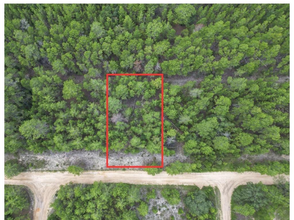 153 Romanshorn Street Interlachen FL 32148 OM684515 image1