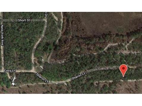 153 Sharon Drive Satsuma FL 32189 OM629911 image2