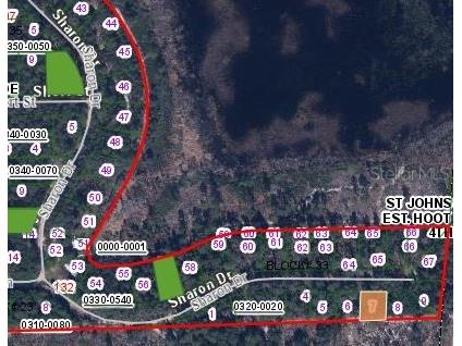 153 Sharon Drive Satsuma FL 32189 OM629911 image3