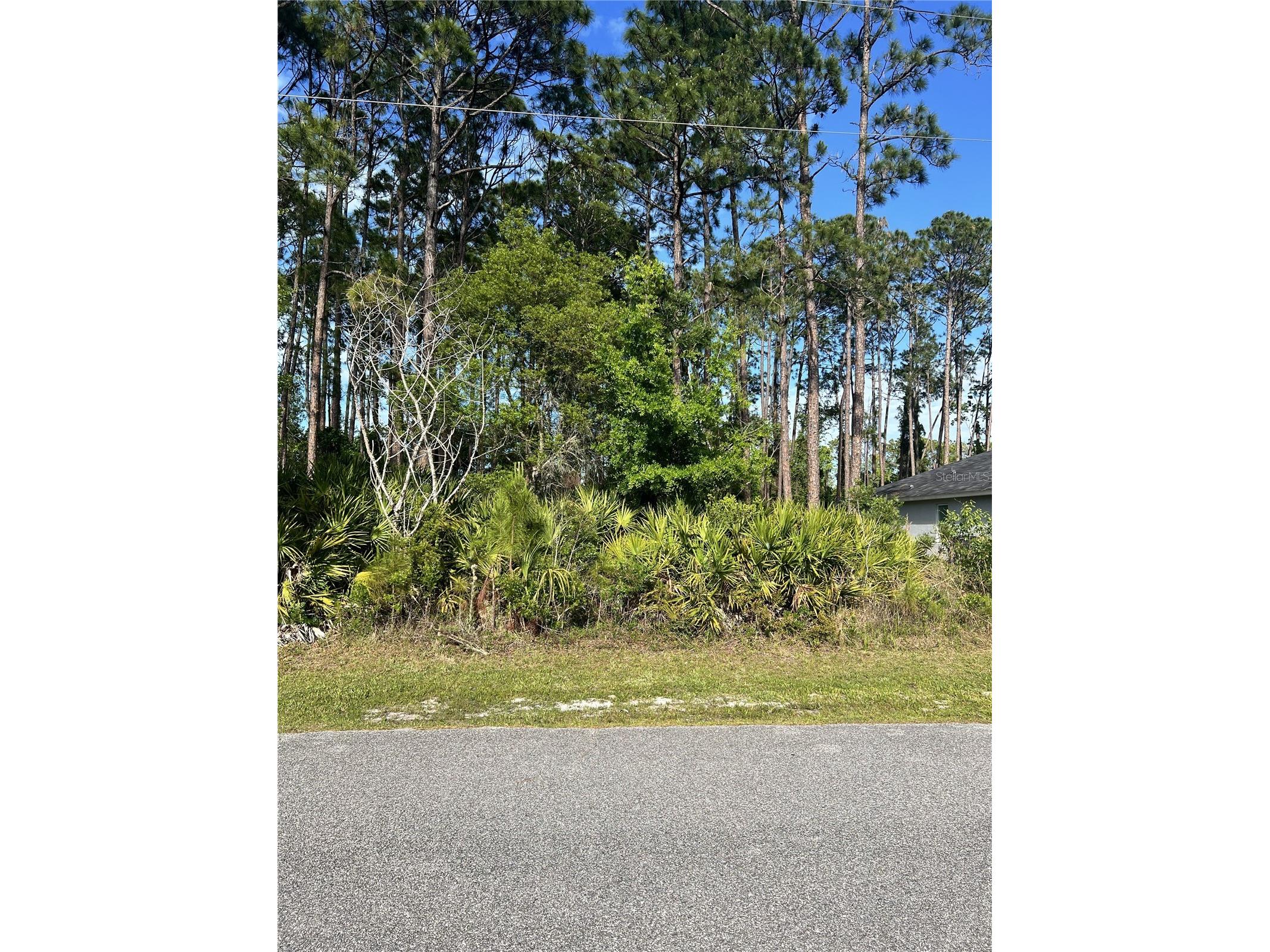 153 Ullian Trail Palm Coast FL 32164 FC318037 image1