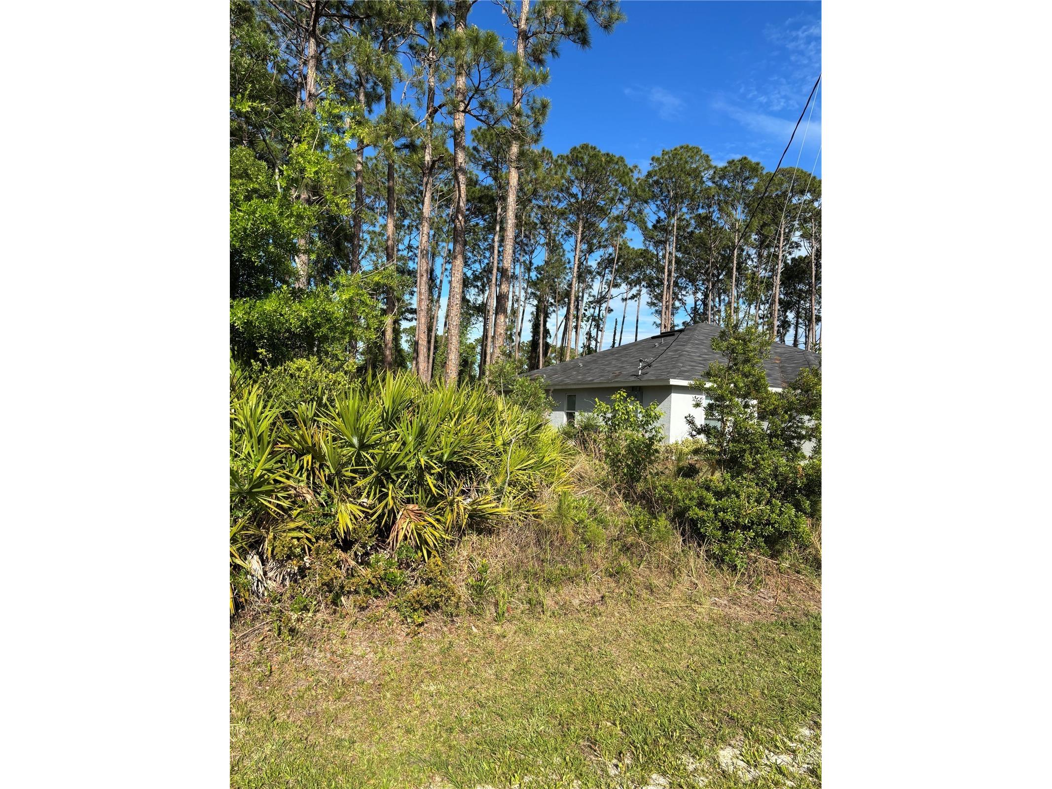 153 Ullian Trail Palm Coast FL 32164 FC318037 image3