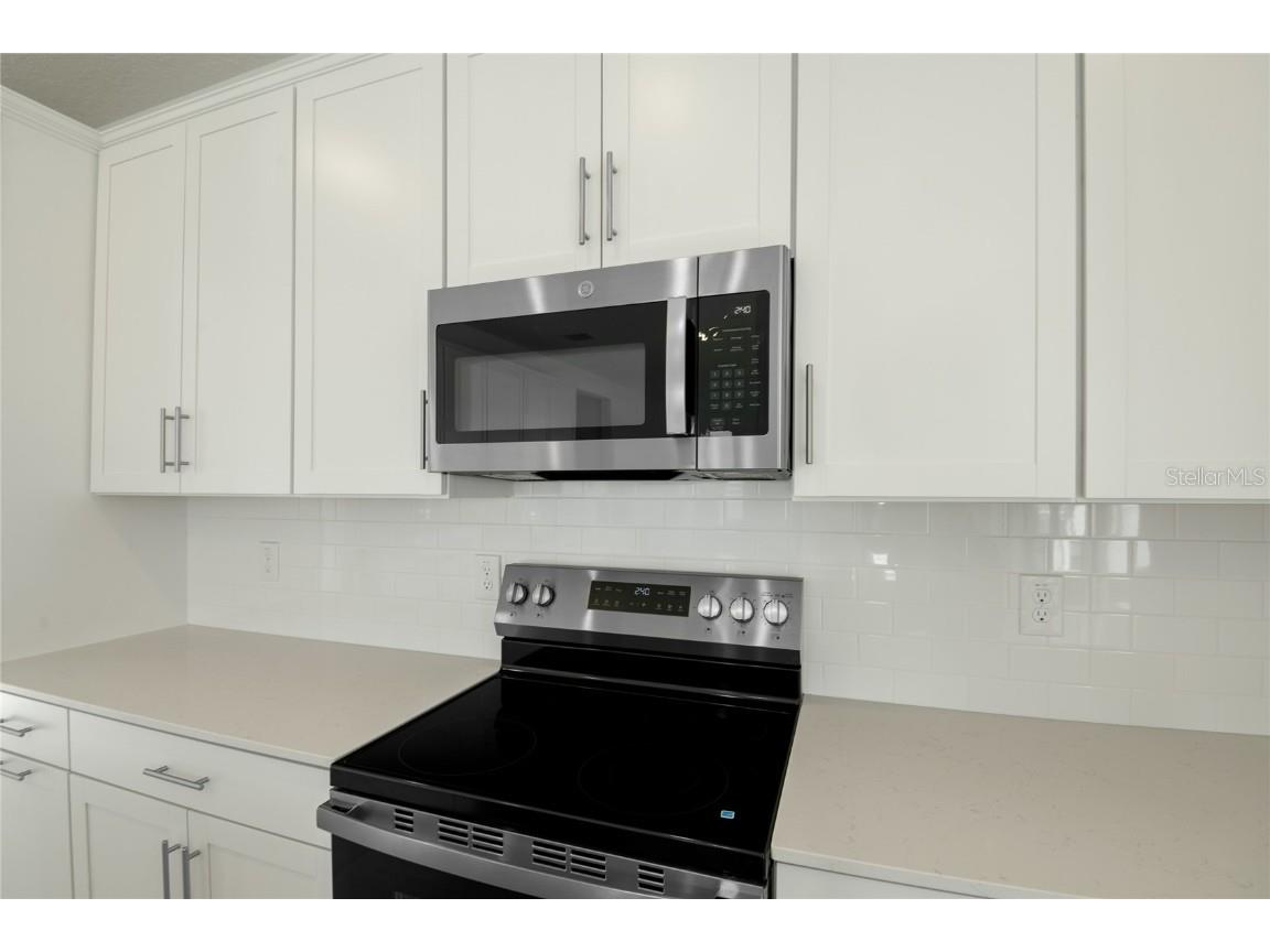 153 Waterstone Loop Tavares FL 32778 S5131869 image8