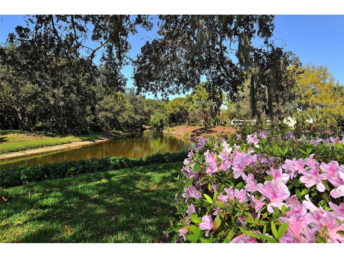 153 Wild Palm Drive #153 Bradenton FL 34210 A4636191 image39