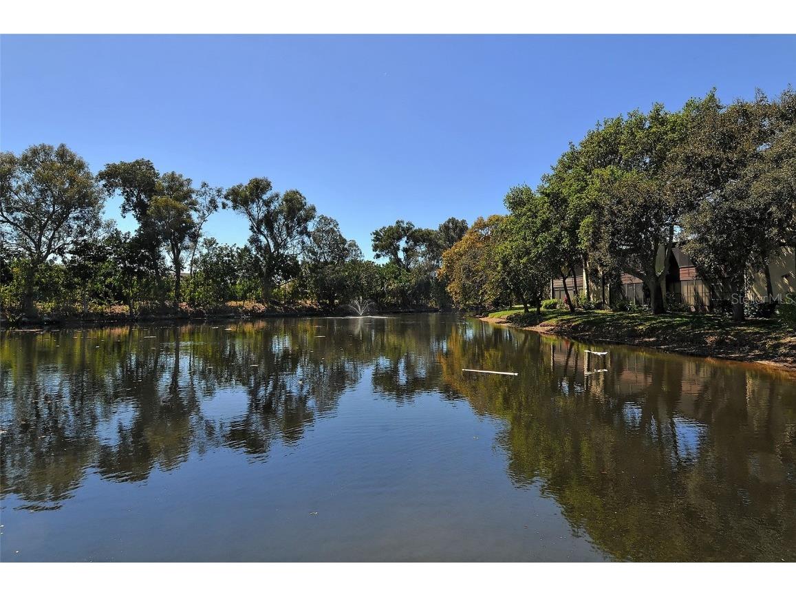 153 Wild Palm Drive #153 Bradenton FL 34210 A4636191 image40