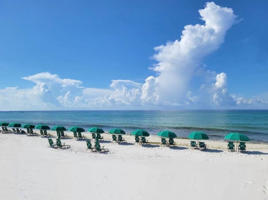 1530 Miracle Strip Parkway SE #102A Fort Walton Beach FL 32548 O6381261 image16