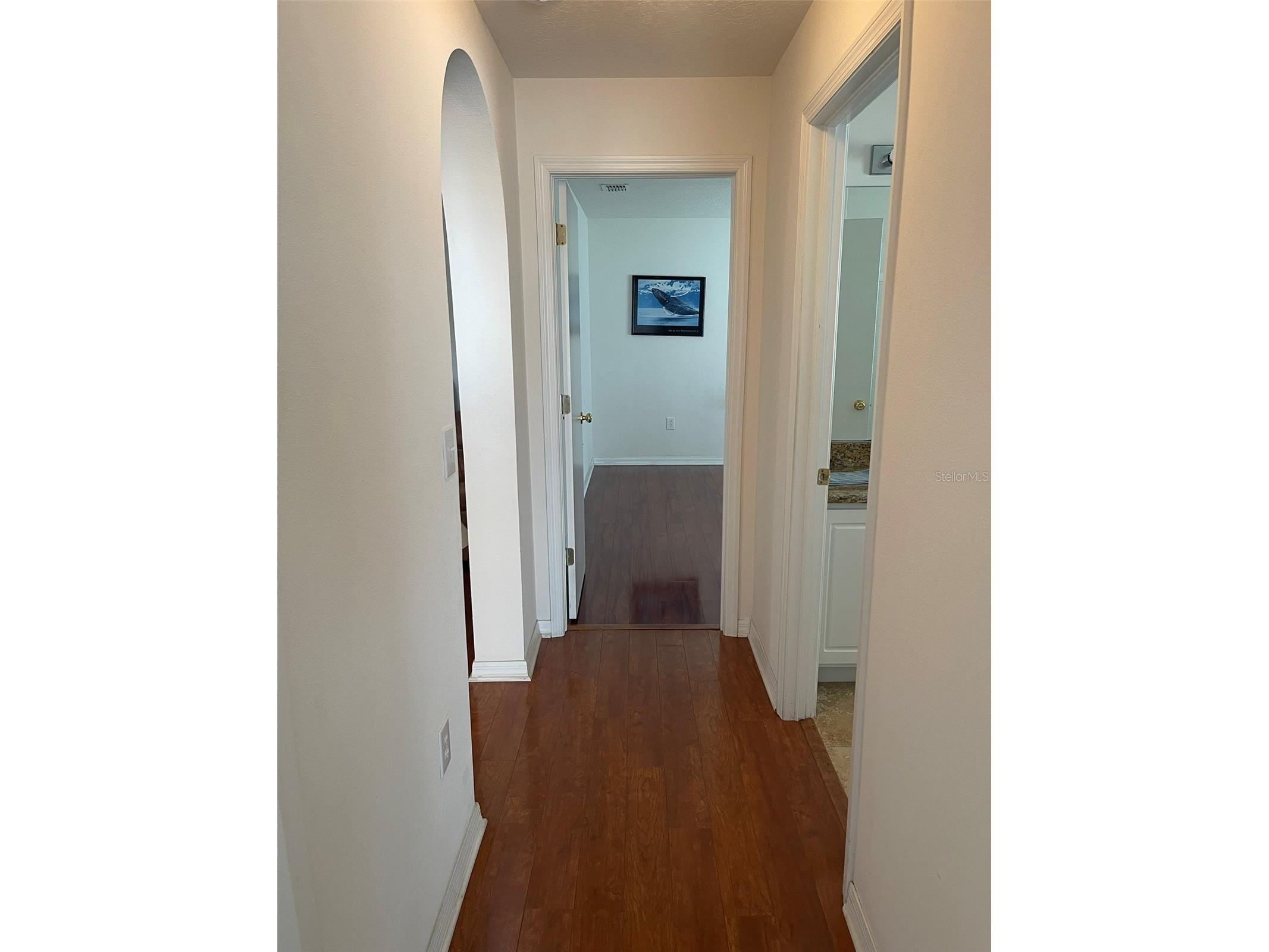 1530 Ocean Reef Road Wesley Chapel FL 33544 TB8466374 image16
