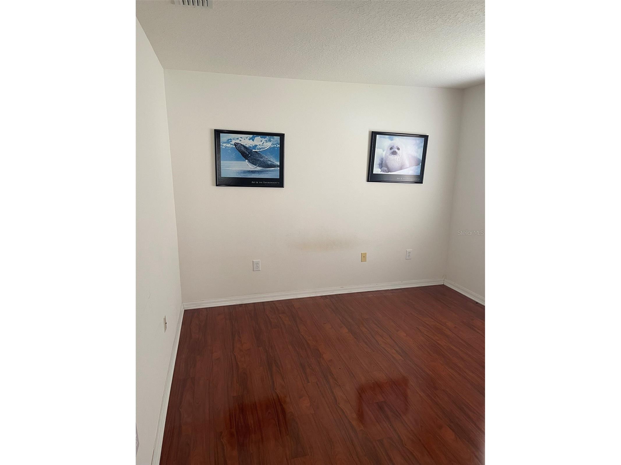 1530 Ocean Reef Road Wesley Chapel FL 33544 TB8466374 image17