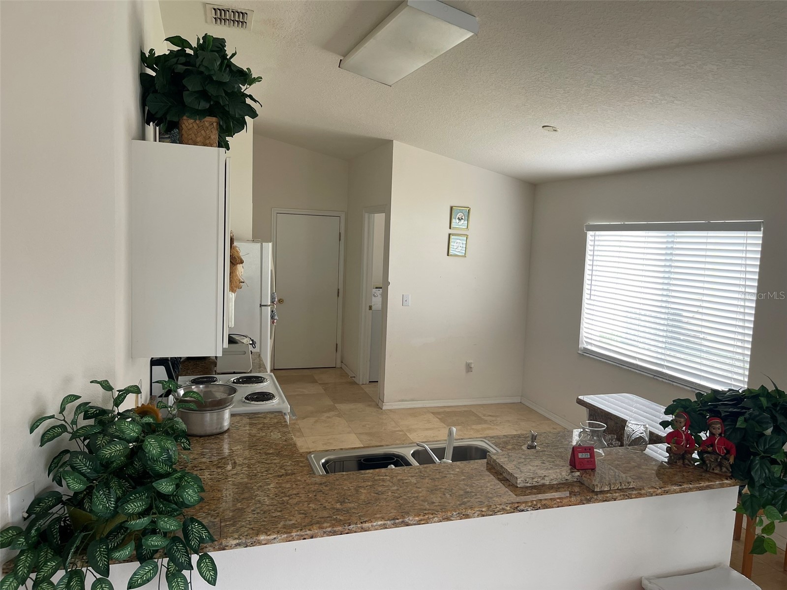 1530 Ocean Reef Road Wesley Chapel FL 33544 TB8466374 image22