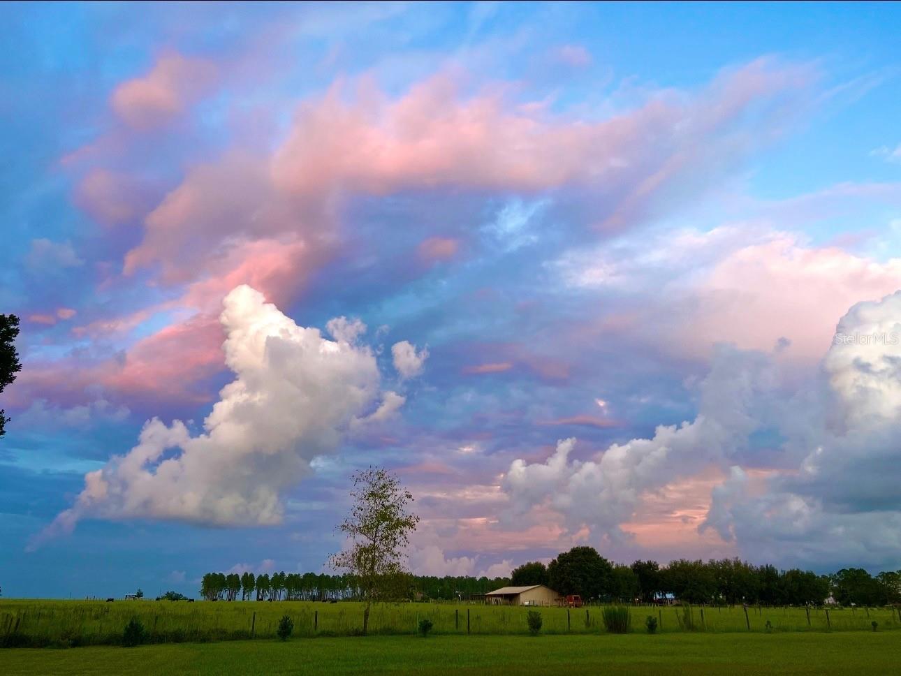 15300 Lake Iola Road Dade City FL 33523 L4960073 image1