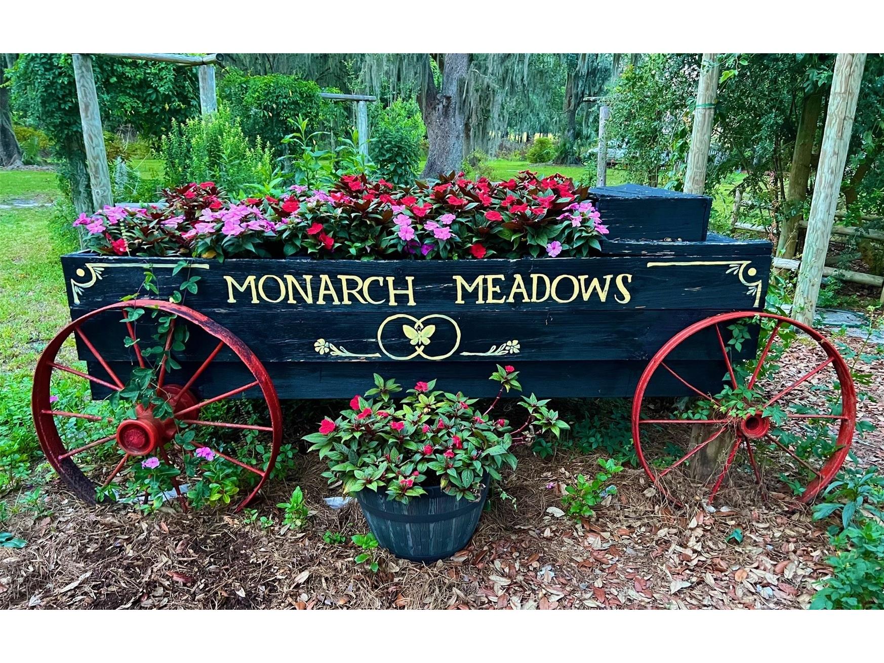 15300 Lake Iola Road Dade City FL 33523 L4960073 image11