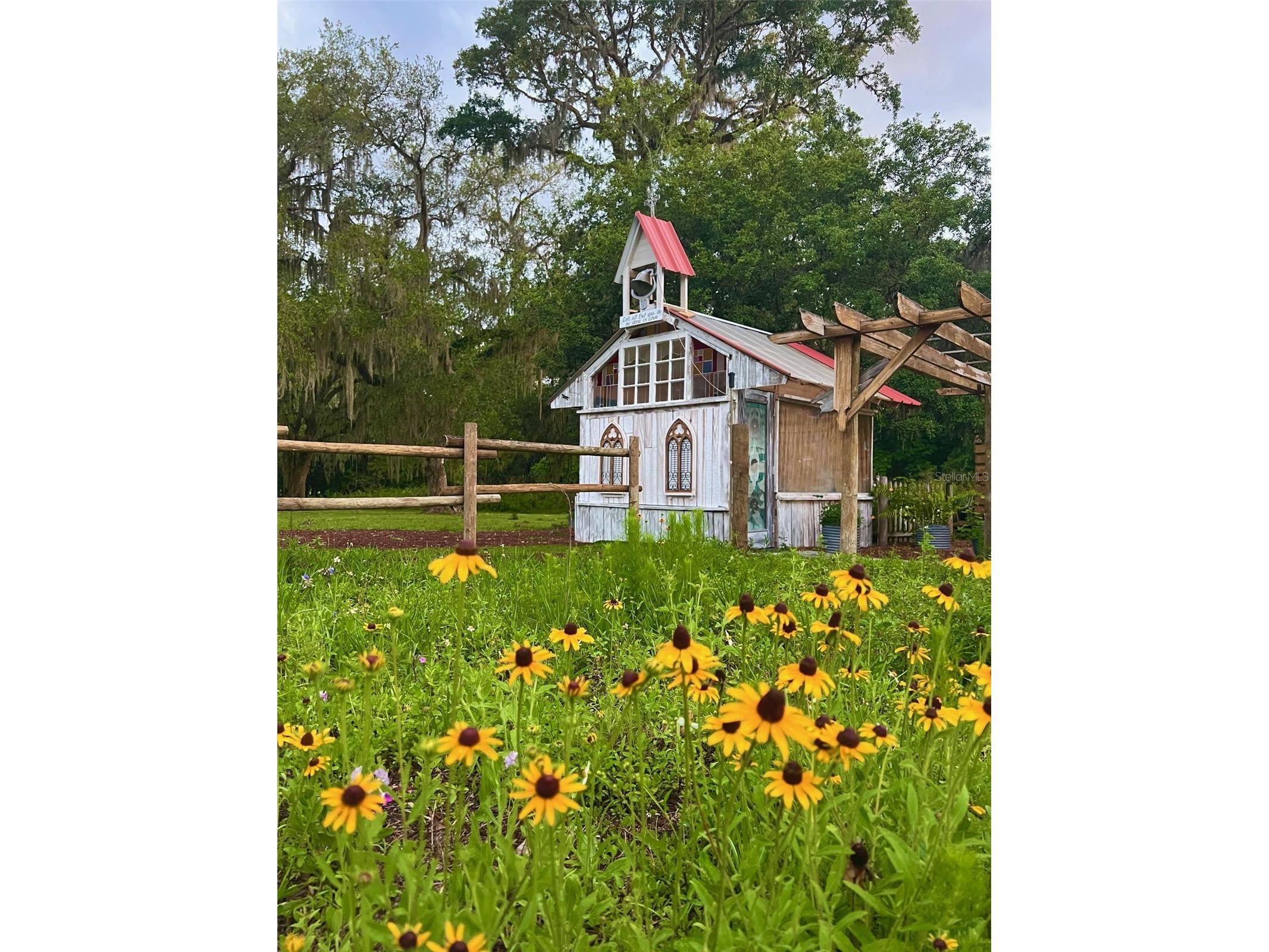 15300 Lake Iola Road Dade City FL 33523 L4960073 image12