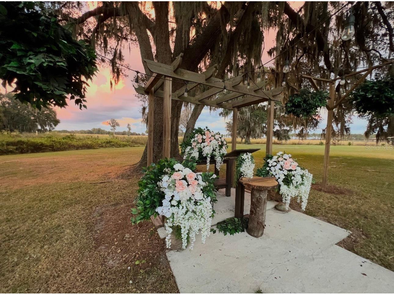 15300 Lake Iola Road Dade City FL 33523 L4960073 image15