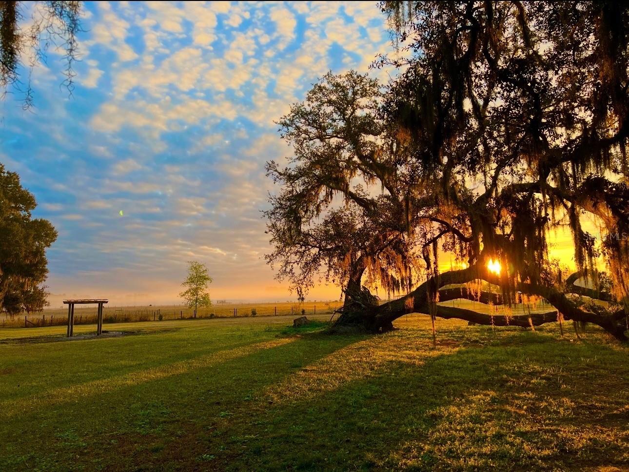 15300 Lake Iola Road Dade City FL 33523 L4960073 image16