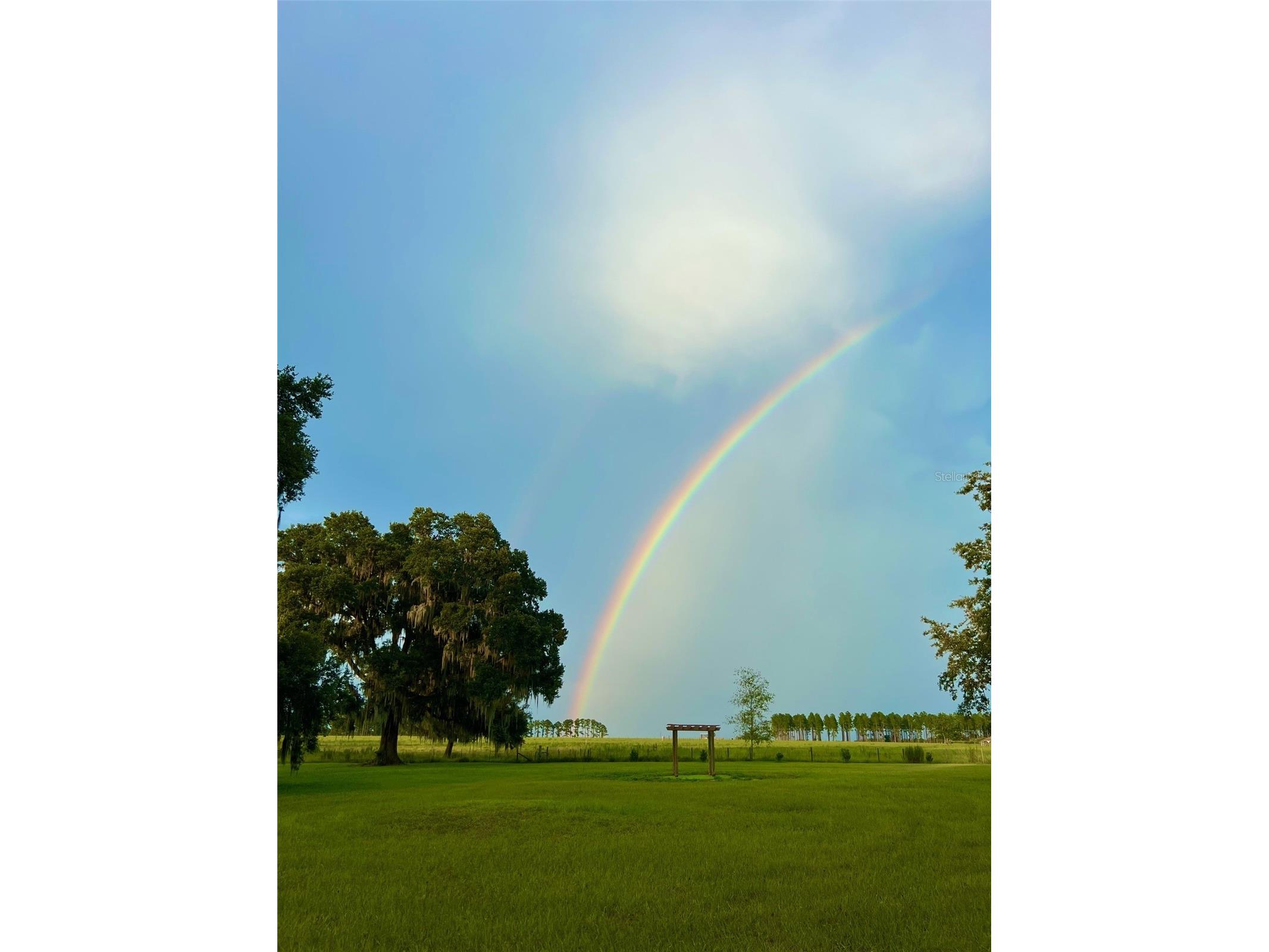 15300 Lake Iola Road Dade City FL 33523 L4960073 image23