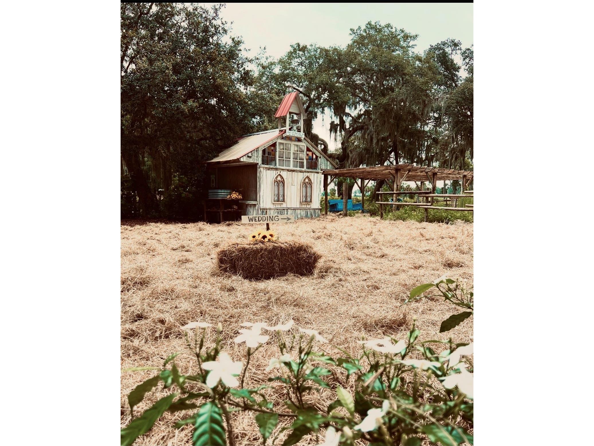 15300 Lake Iola Road Dade City FL 33523 L4960073 image9