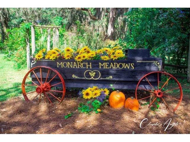 15300 Lake Iola Road Dade City FL 33523 L4960073 image90
