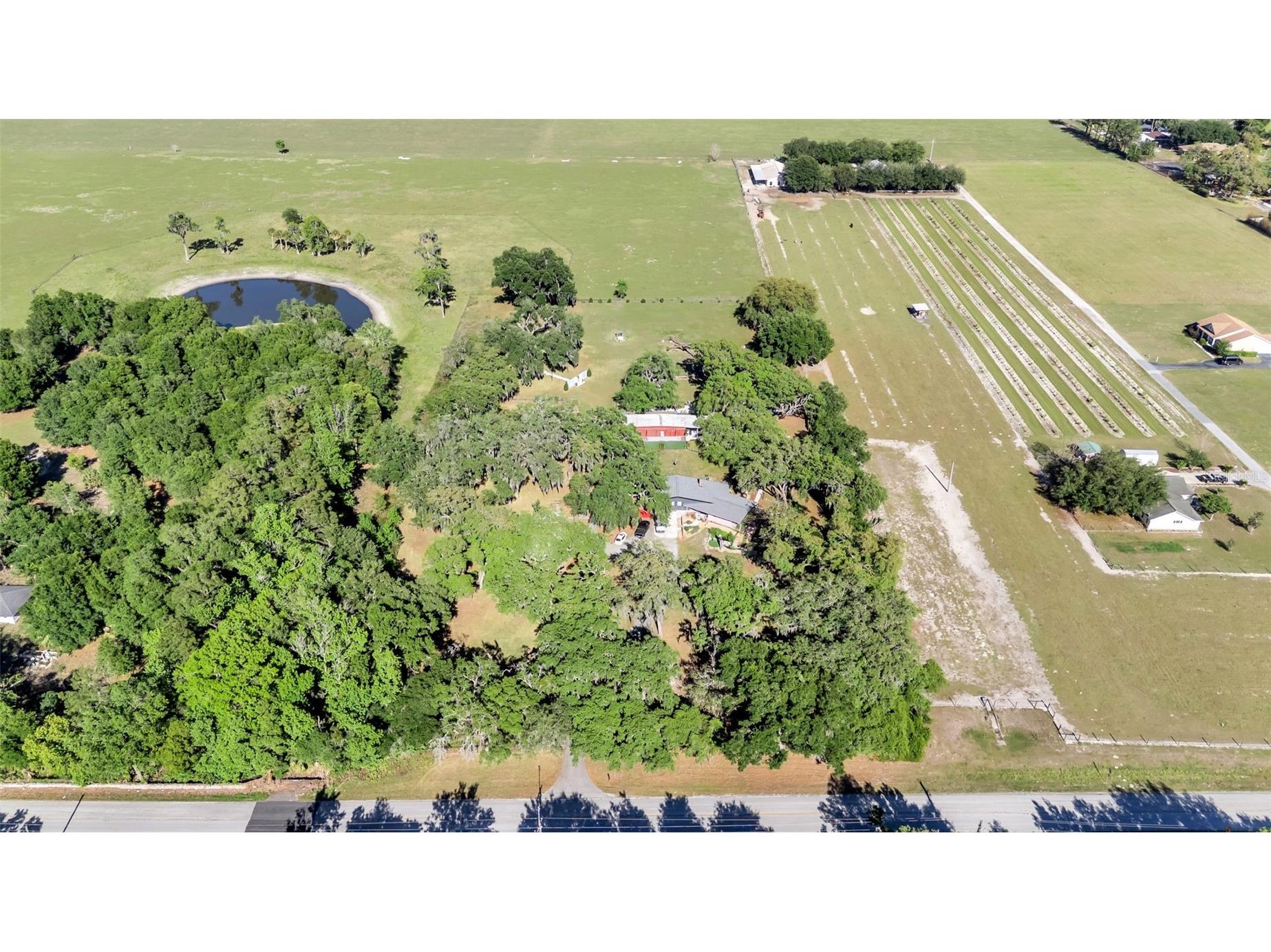 15300 Lake Iola Road Dade City FL 33523 L4960073 image94