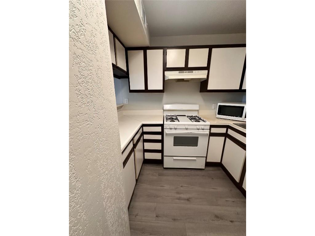 15300 SW 106th Terrace #520 Miami FL 33196 O6351621 image12