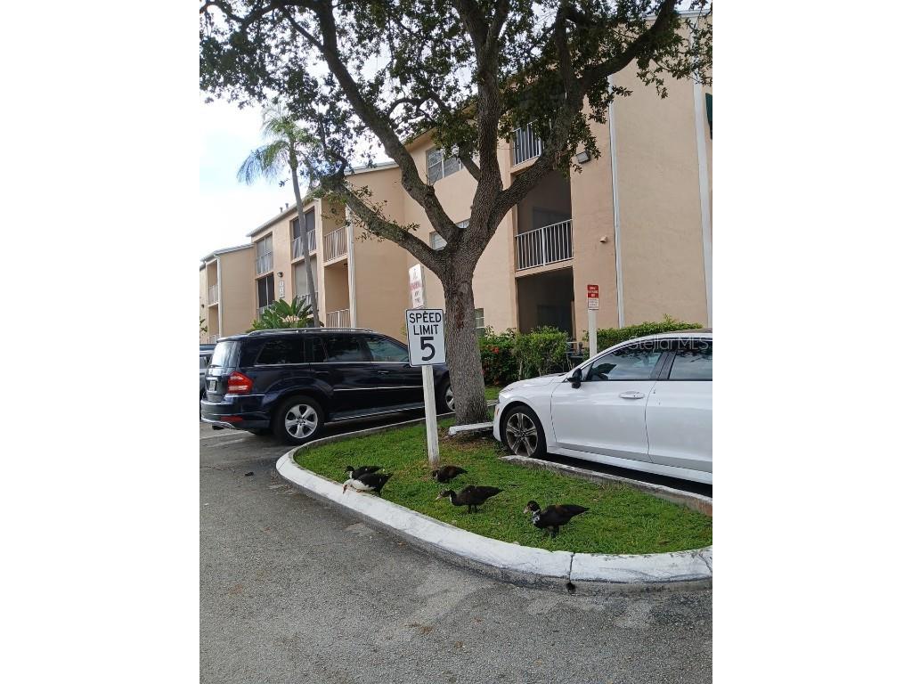 15300 SW 106th Terrace #520 Miami FL 33196 O6351621 image46