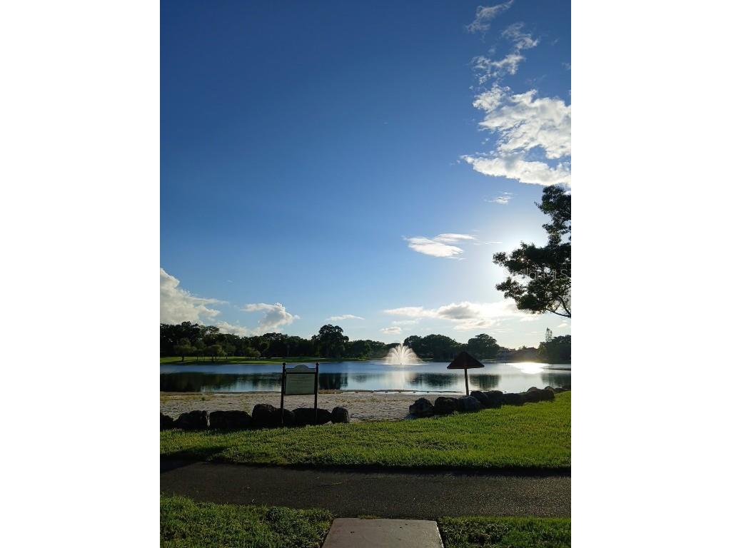 15300 SW 106th Terrace #520 Miami FL 33196 O6351621 image56