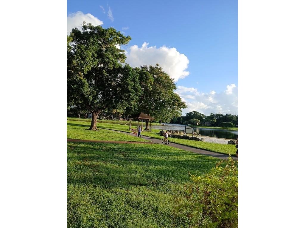 15300 SW 106th Terrace #520 Miami FL 33196 O6351621 image57