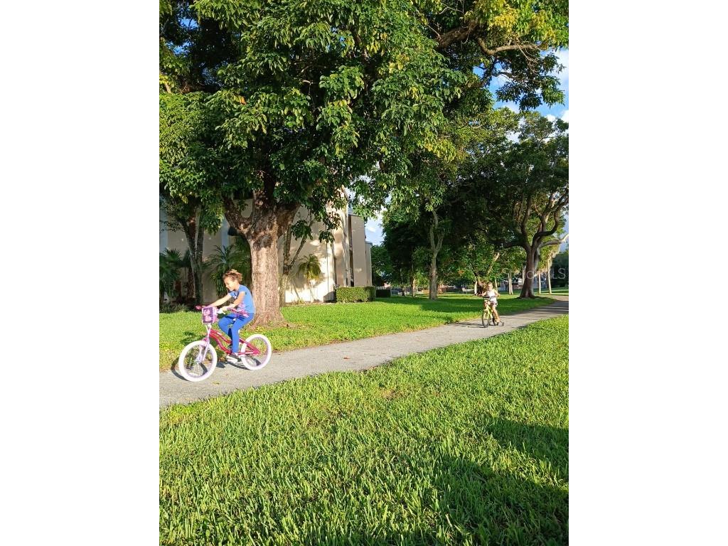 15300 SW 106th Terrace #520 Miami FL 33196 O6351621 image58