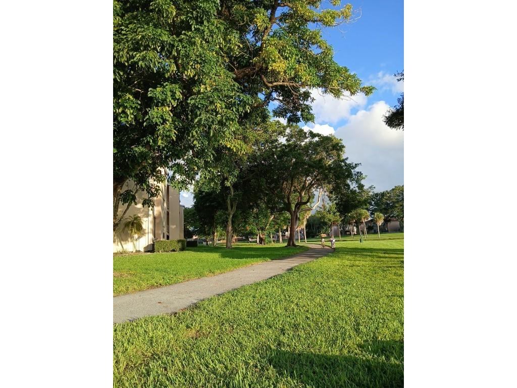 15300 SW 106th Terrace #520 Miami FL 33196 O6351621 image59