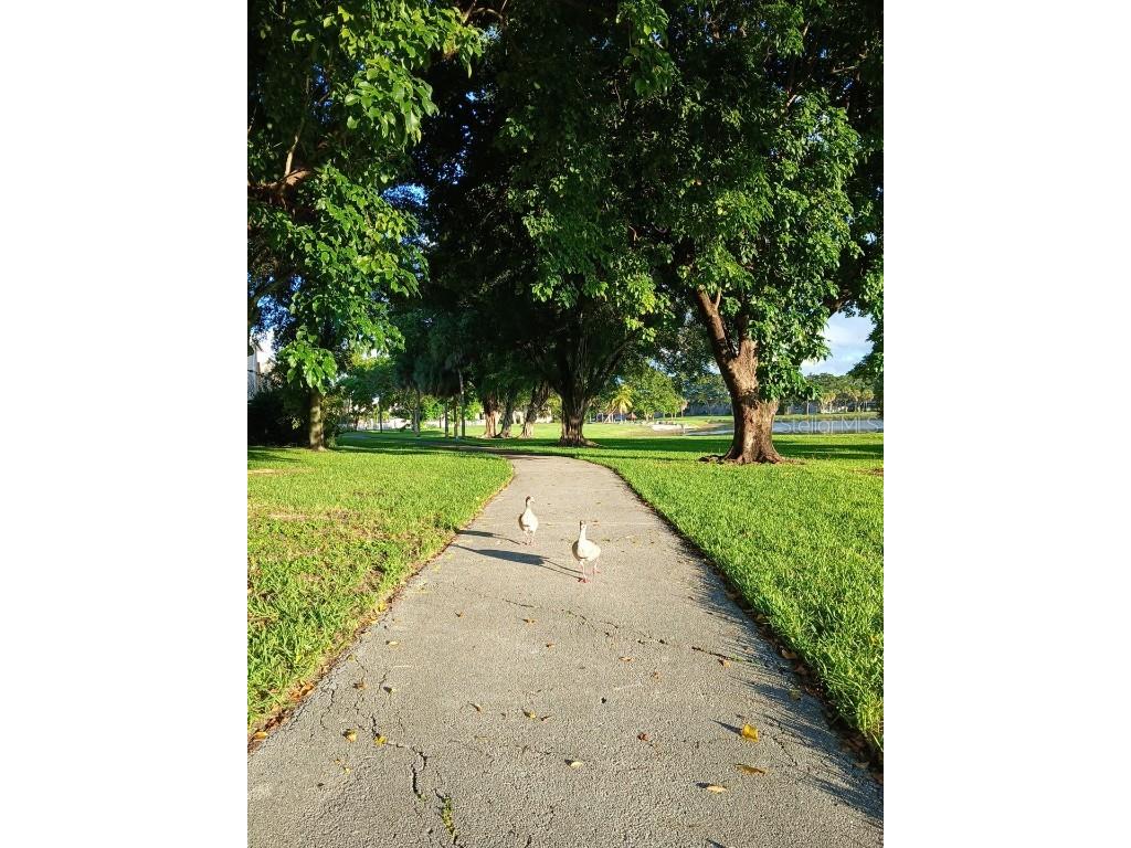 15300 SW 106th Terrace #520 Miami FL 33196 O6351621 image65