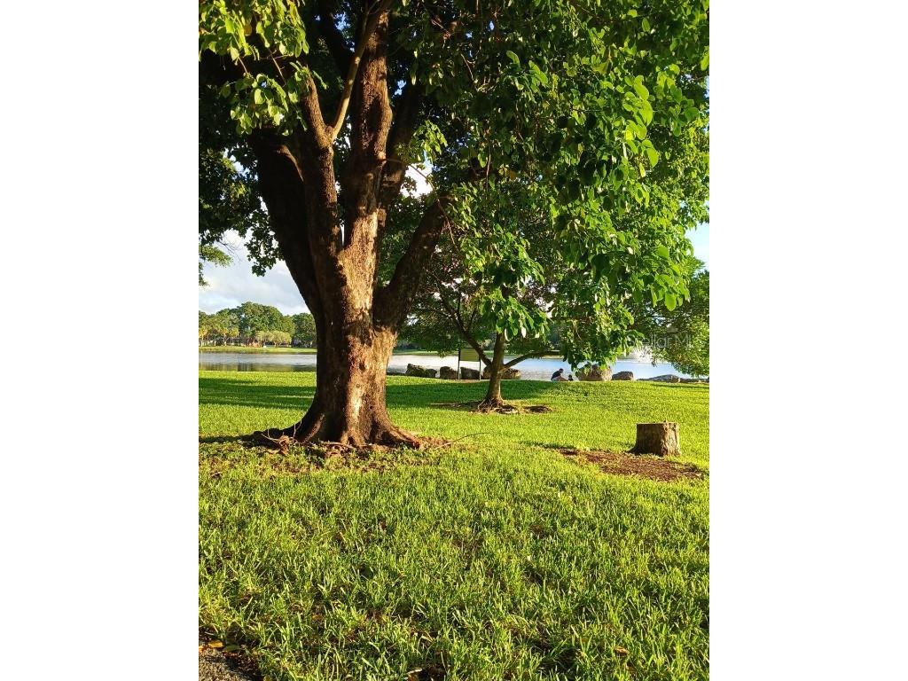 15300 SW 106th Terrace #520 Miami FL 33196 O6351621 image66